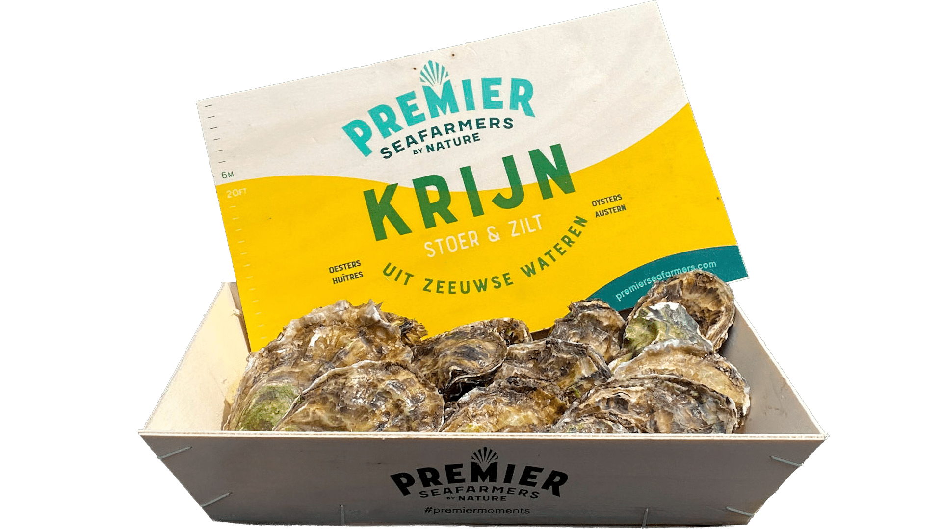 1303_Hollow_Oysters
