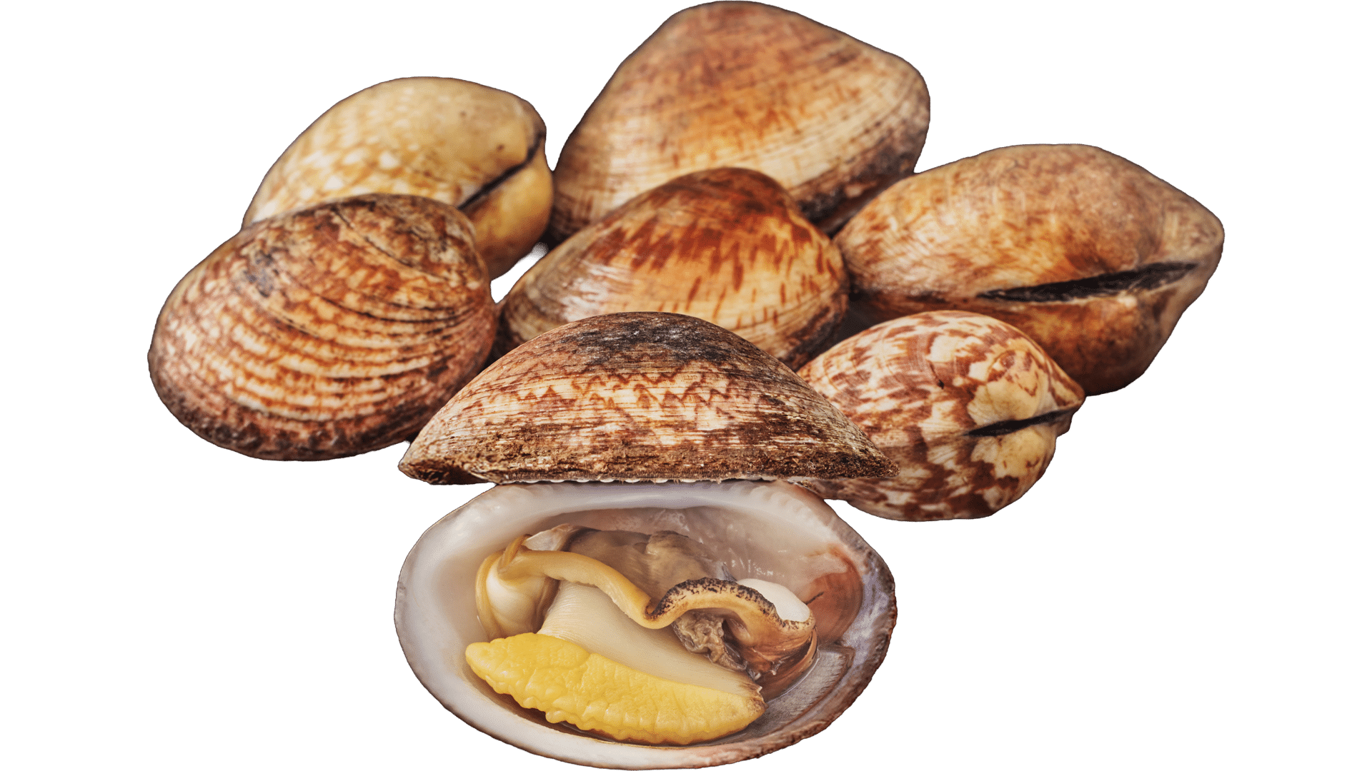 1385_Almonds-of-the-Sea