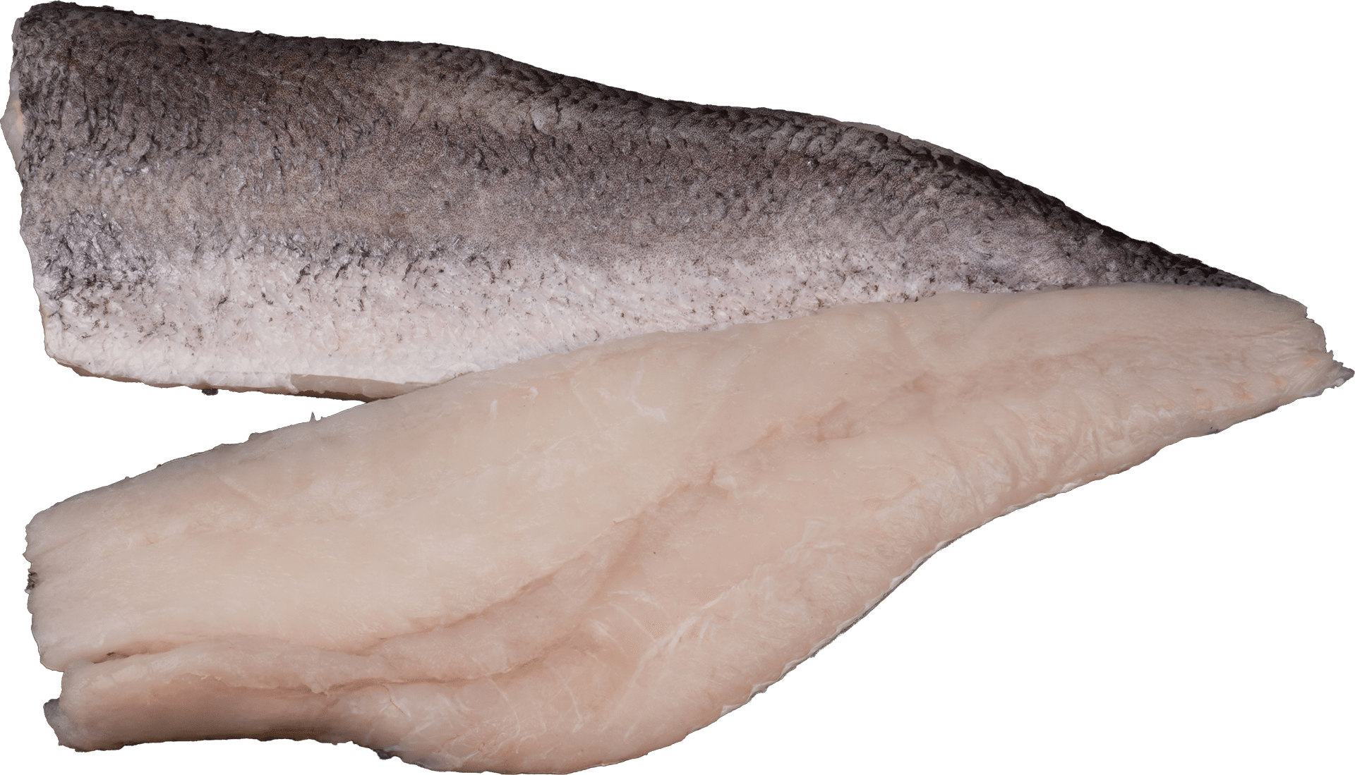 1479_Pikeperch fillet