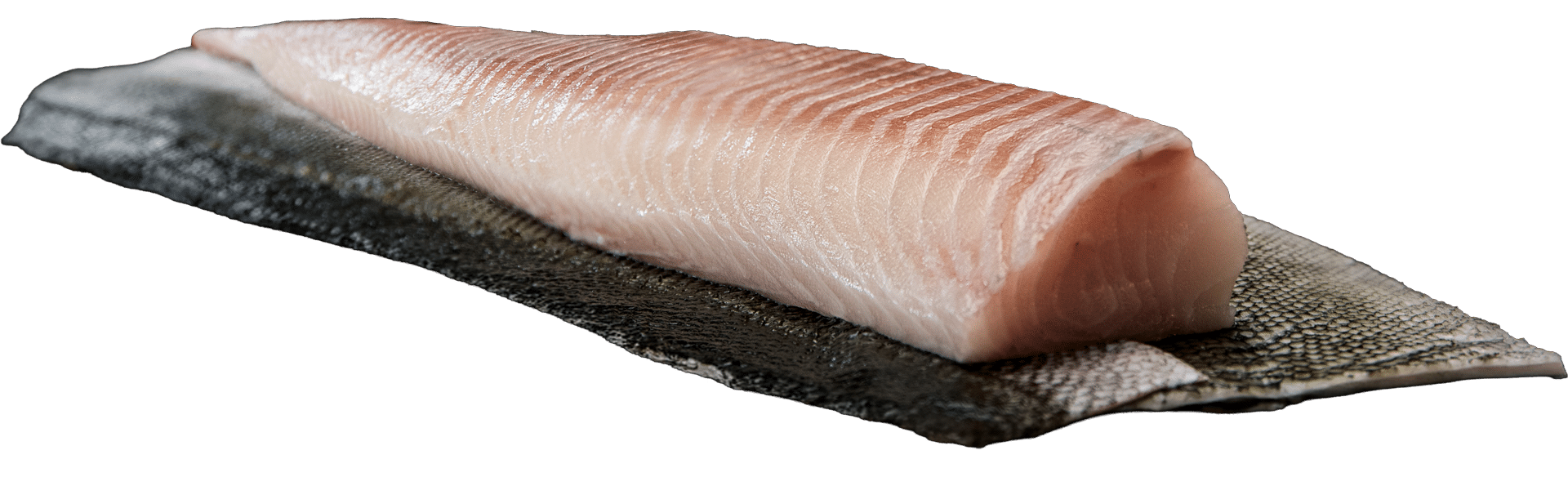 1483_TK_Black Cod Fillet with Skin