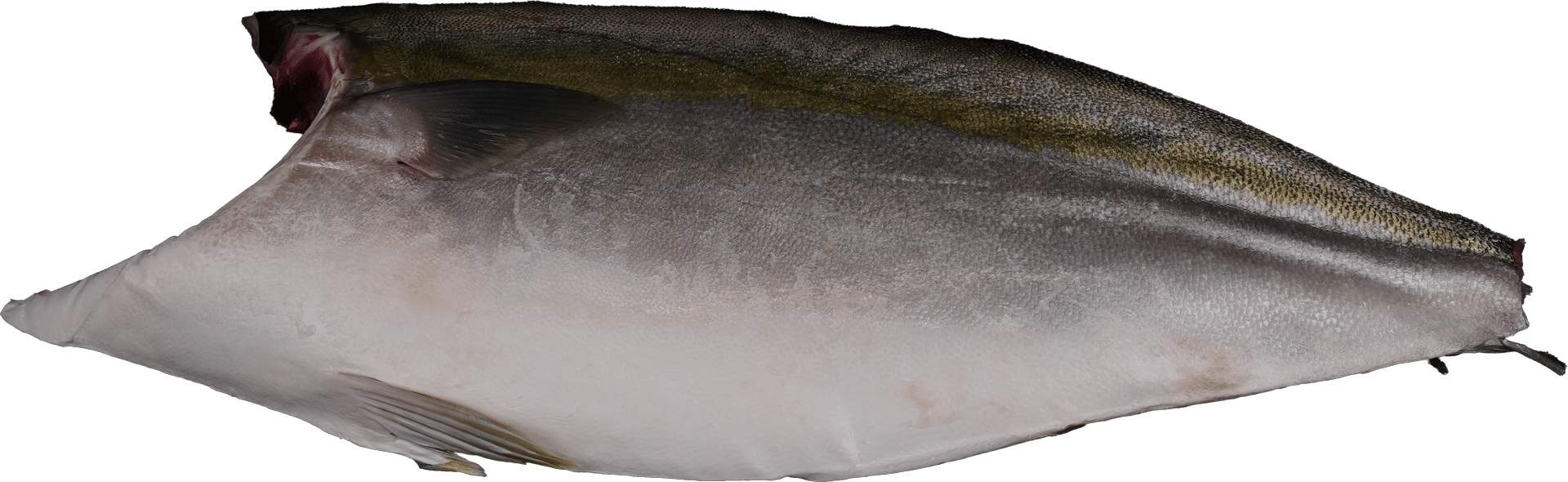 1490_Hamachi fillet