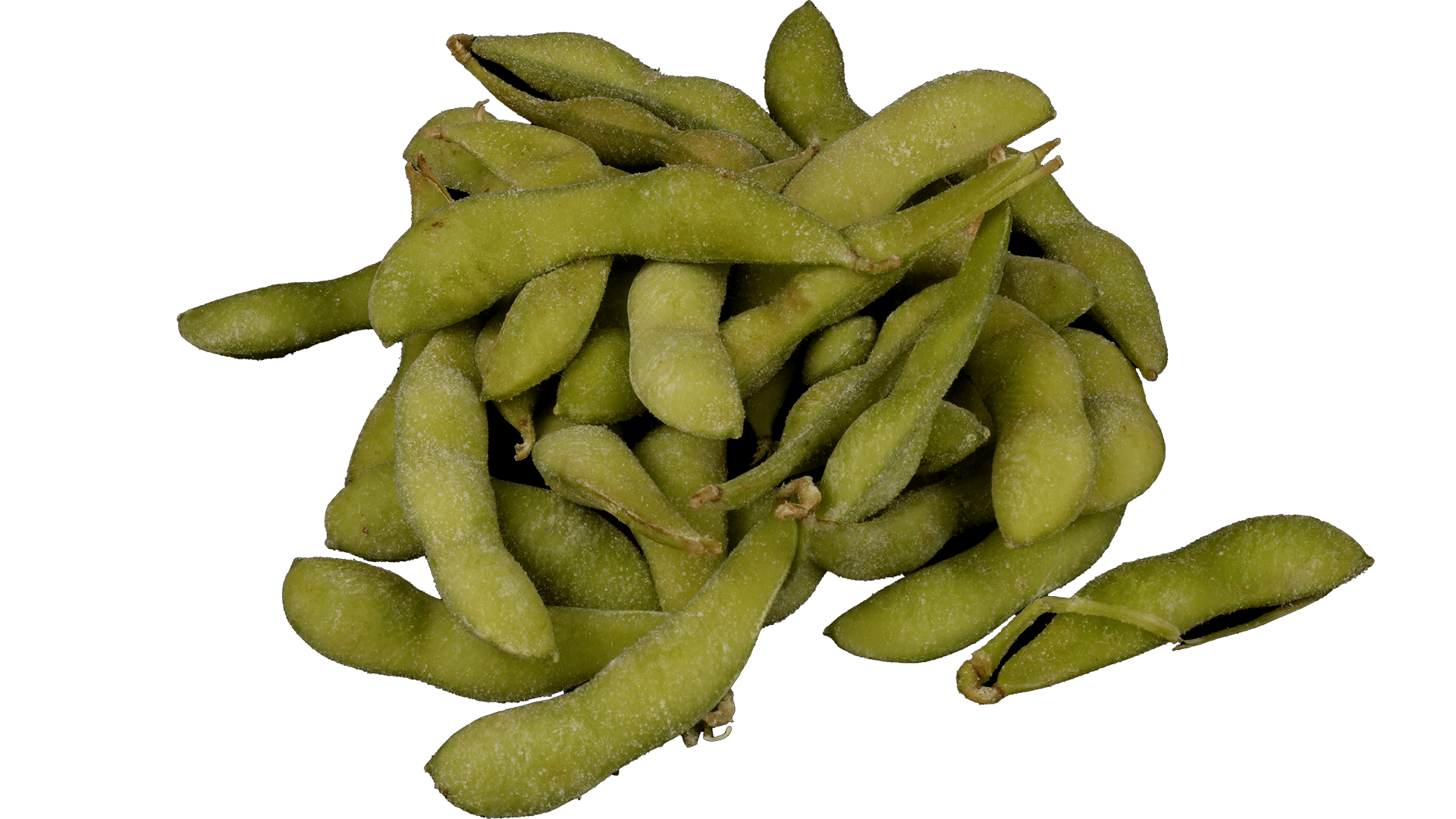 1630_Edamame_Soybeans