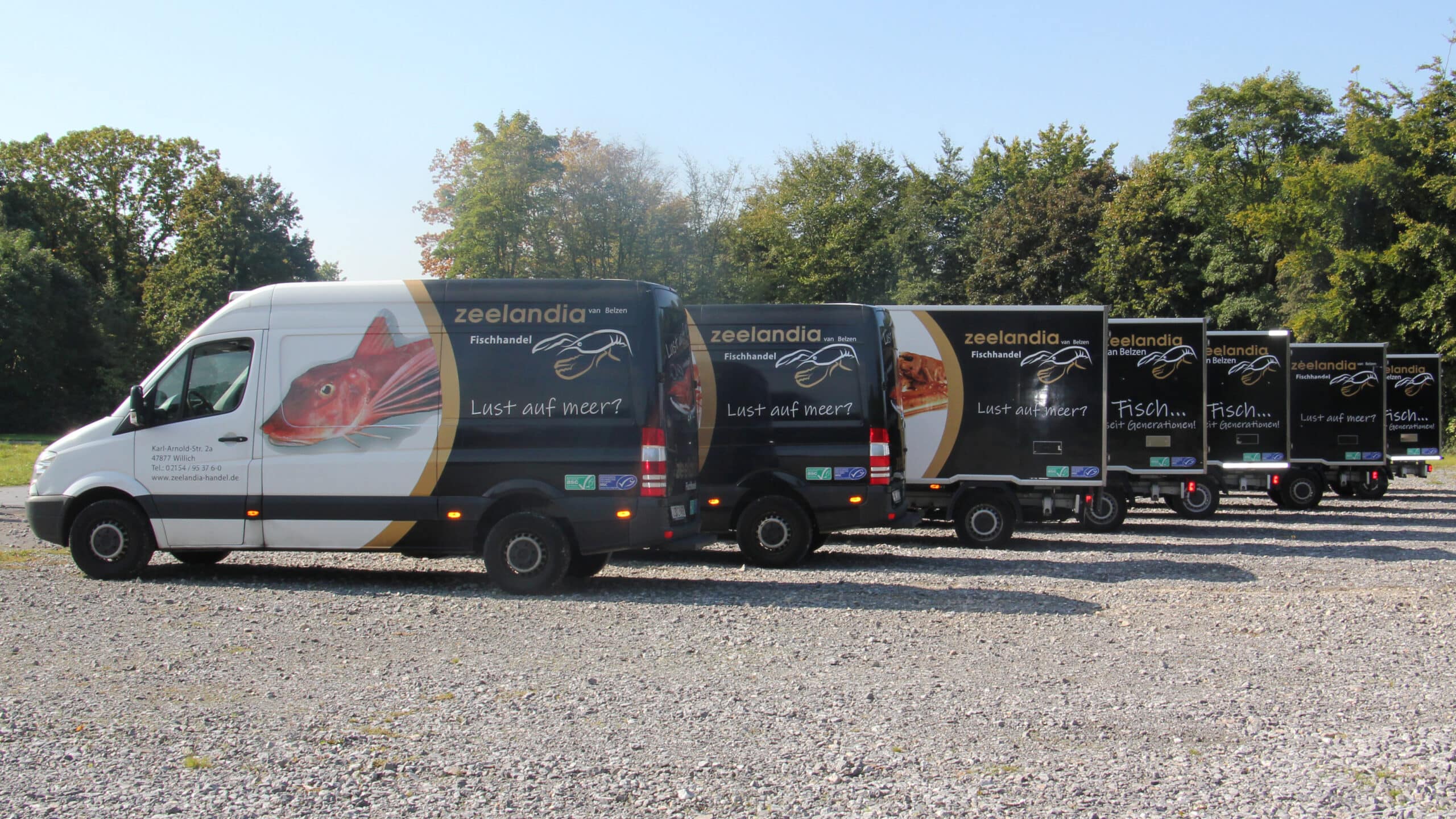 Significant investment in fleet expansion and modernisation