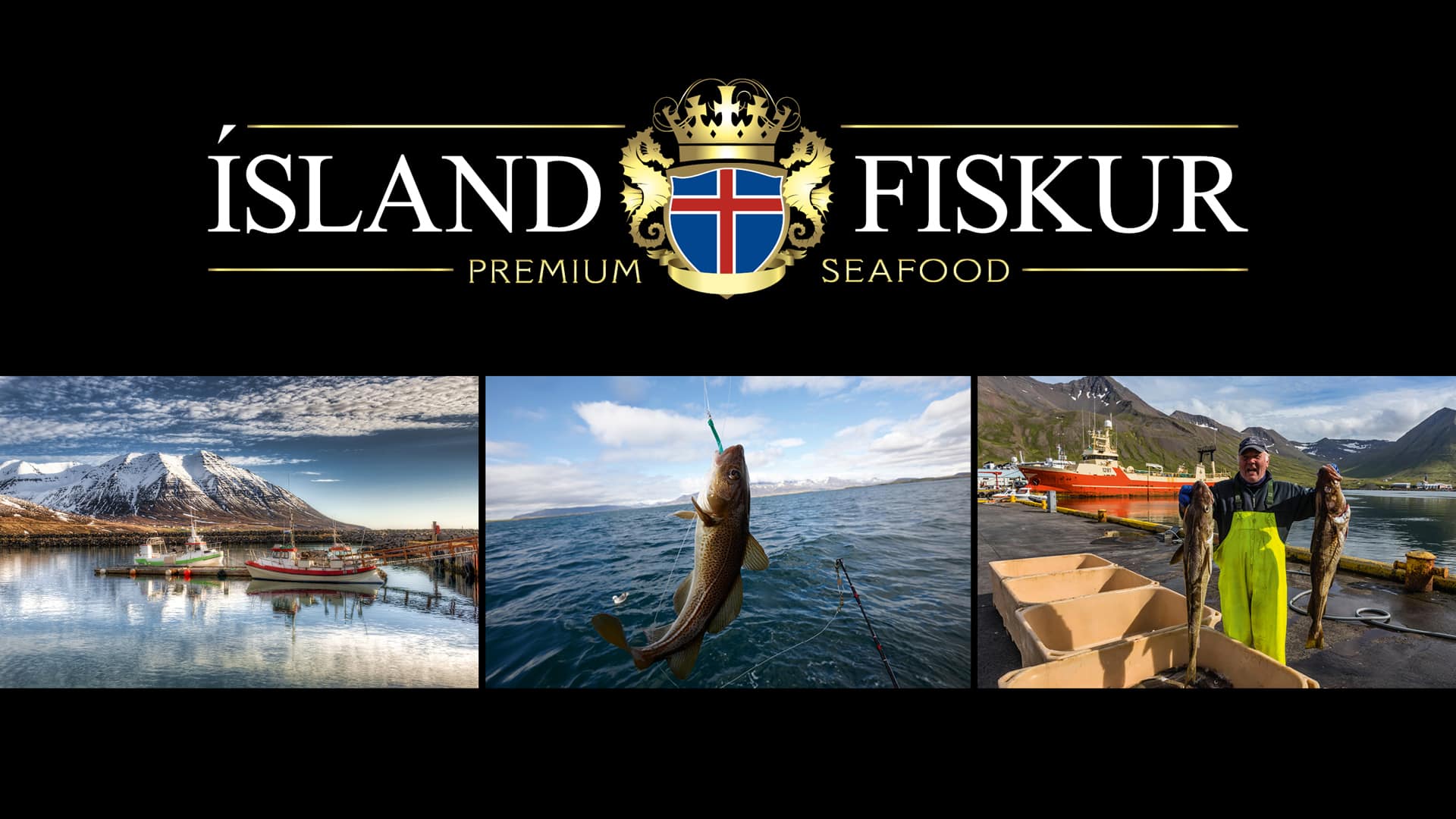 Creation and establishment of the premium seafood brand Island Fiskur