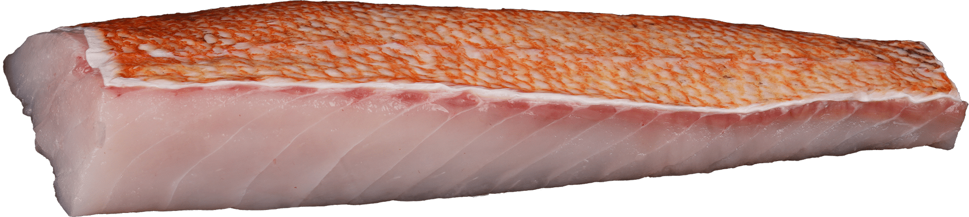 2187_Redfish_Loins