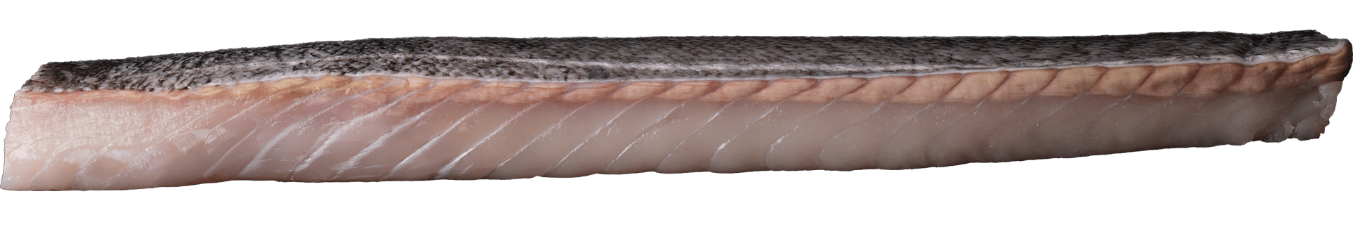 2188_Polllock-loin_with-skin