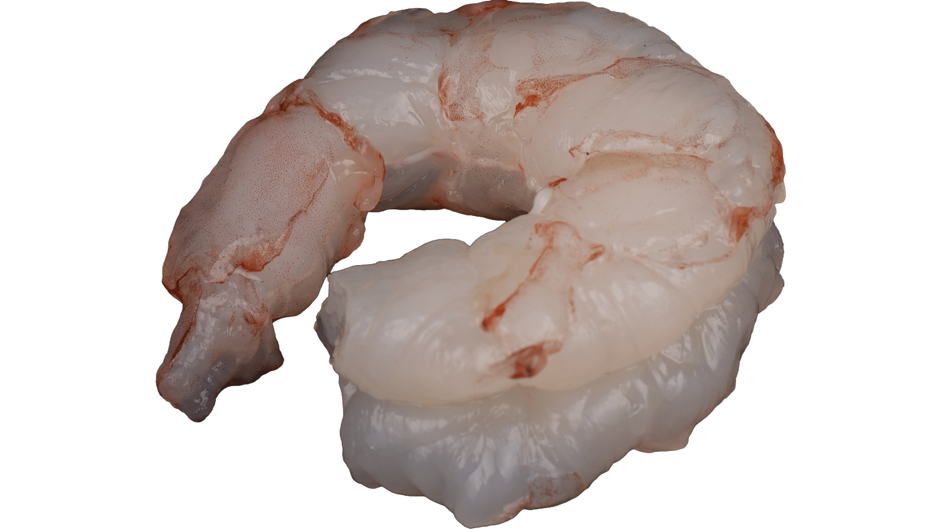 2198_Argentinian_Wild_Prawns