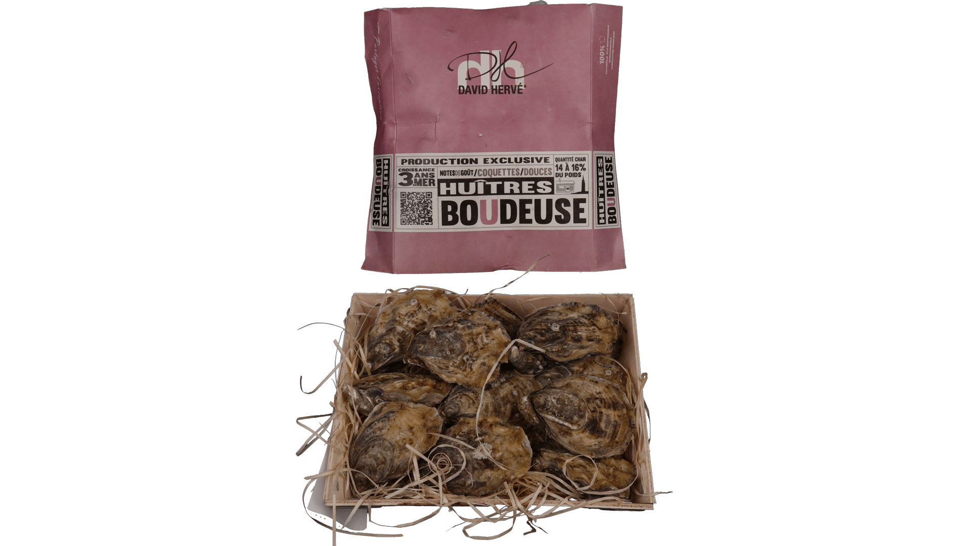 2912_Oysters_David-Hervé_BB-Boudeuse