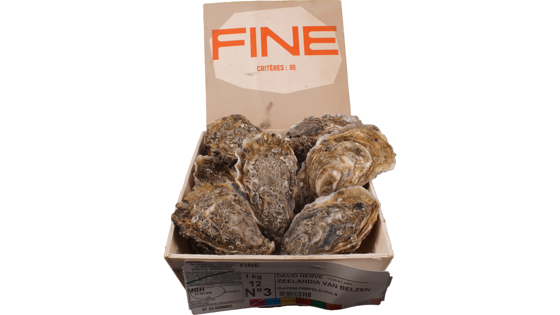 3067_Oysters_David-Herve_Fine