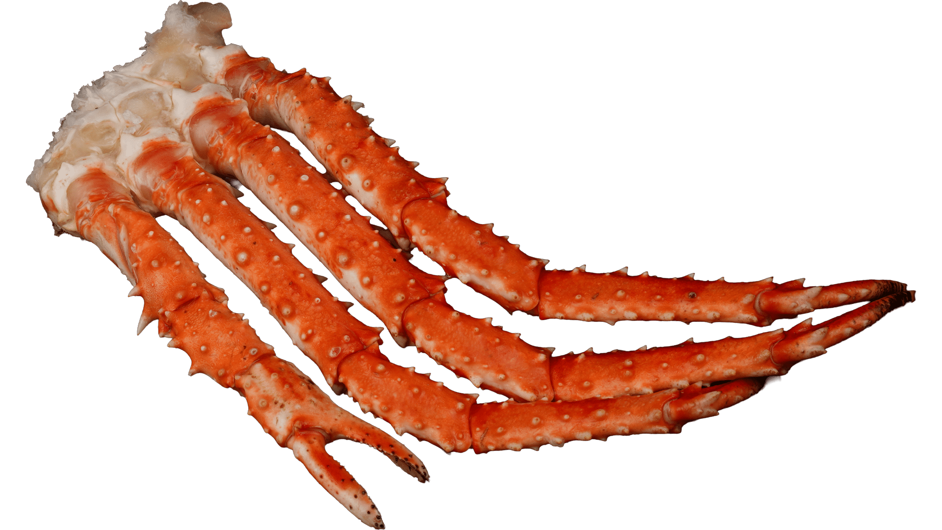 3085_King-Crab_Boil-Cluster