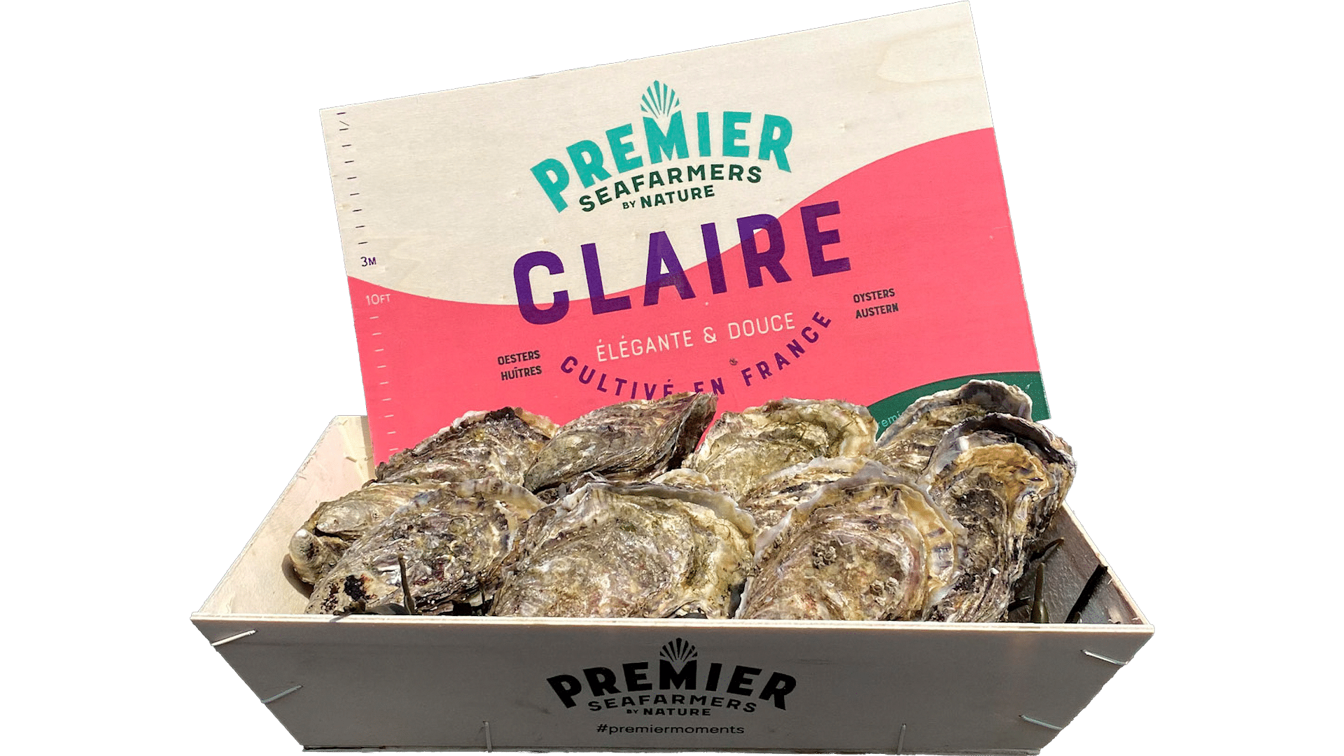 3329_Oysters_Fines-de-Claire
