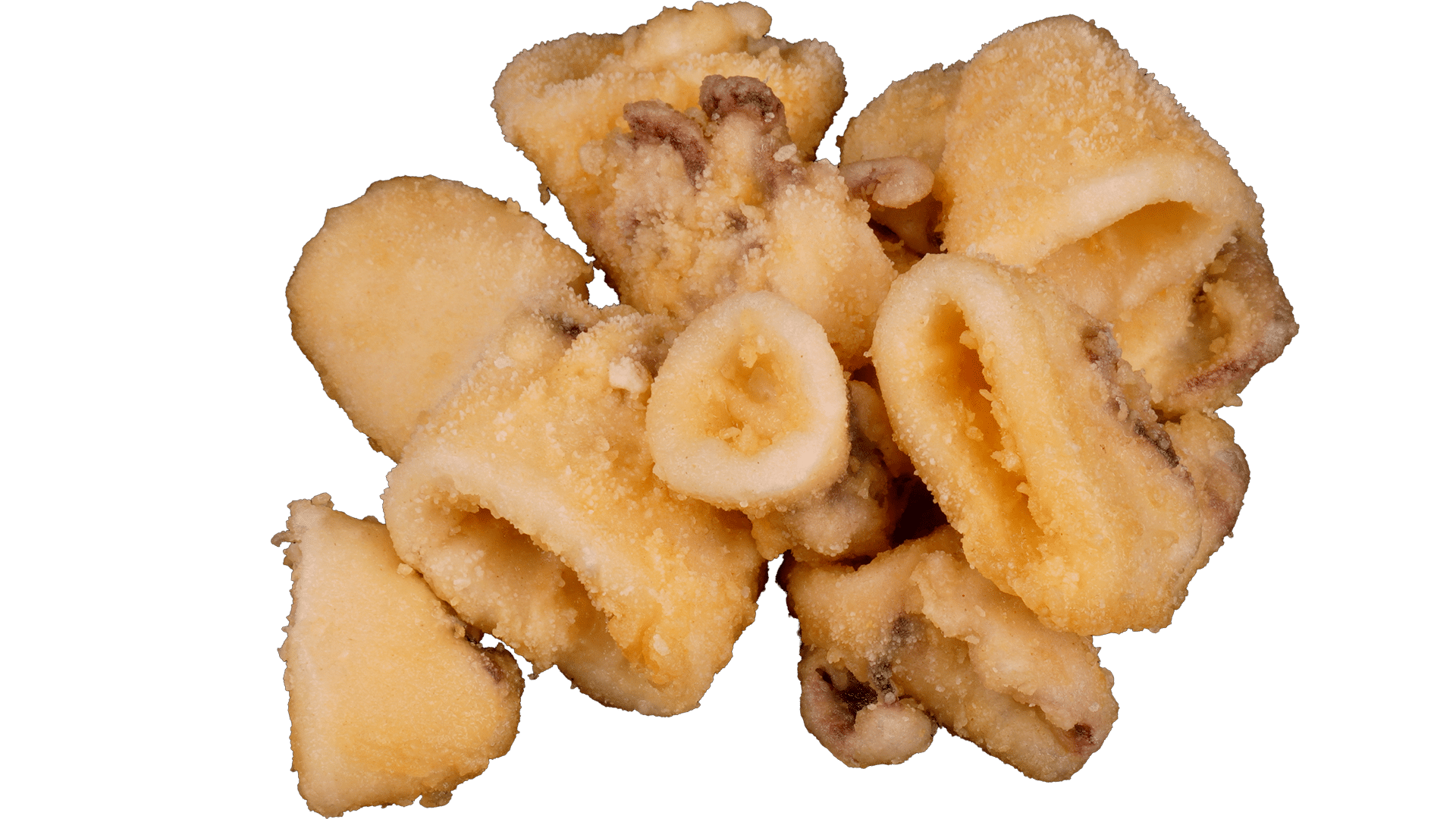 3359_Squid_Squid_Pieces