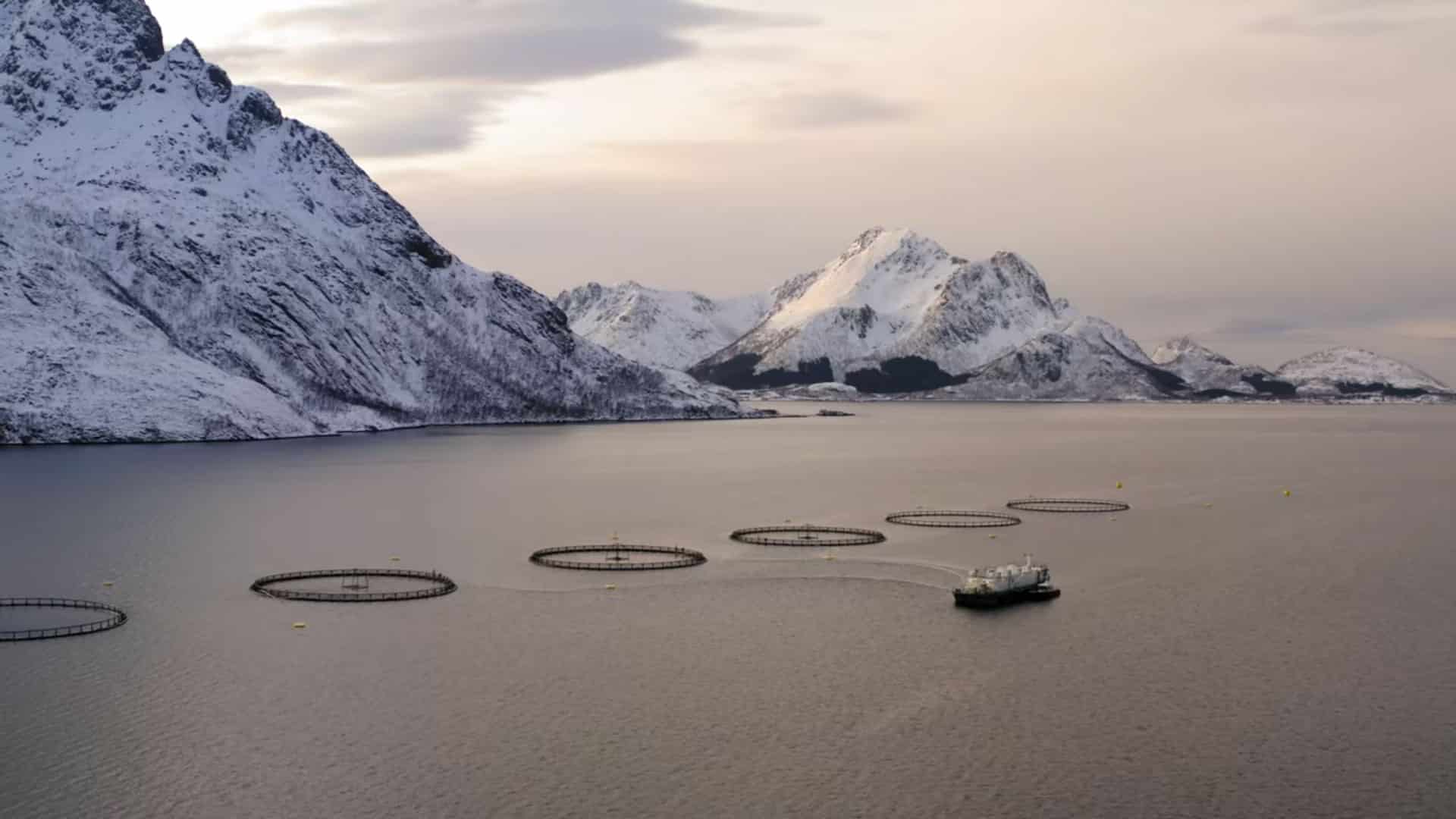 ASC certification Aquaculture Stewardship Council ASC seal responsible farming responsibility
