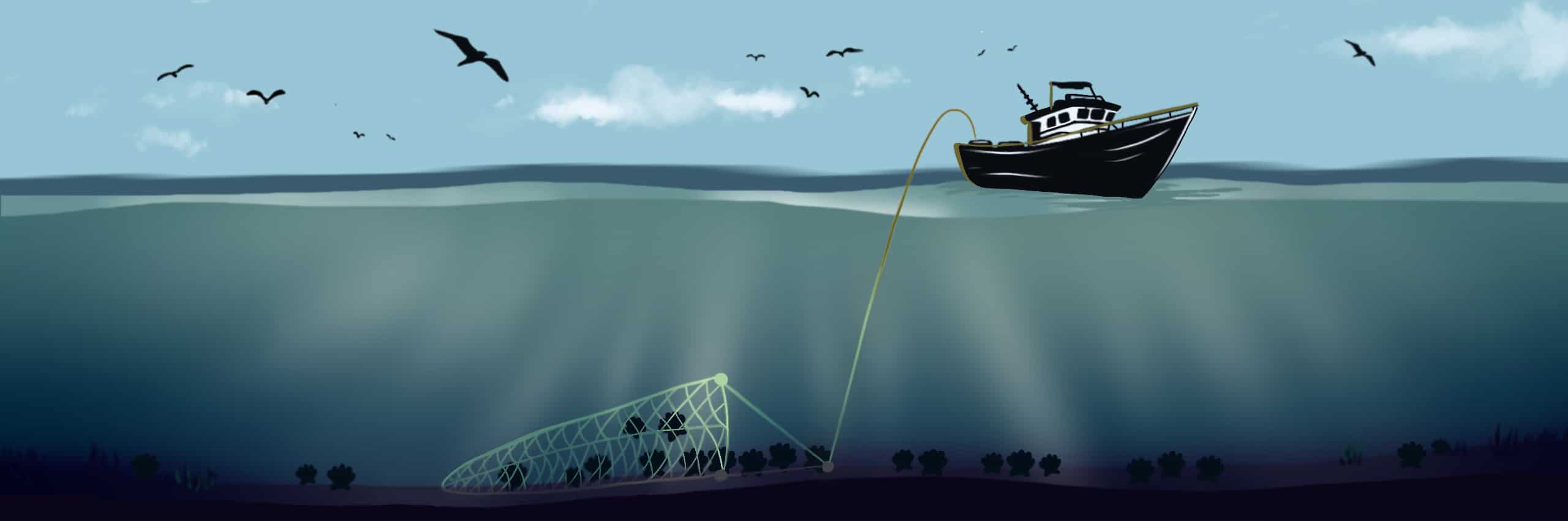 Dredge Fishing Method