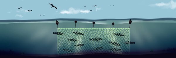 Gillnet fishing method