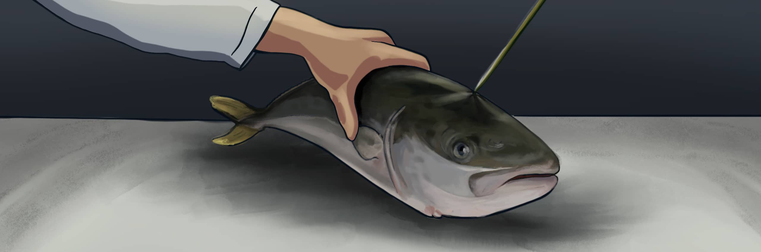 Ike-Jime: Meticulous Slaughter and Processing Method