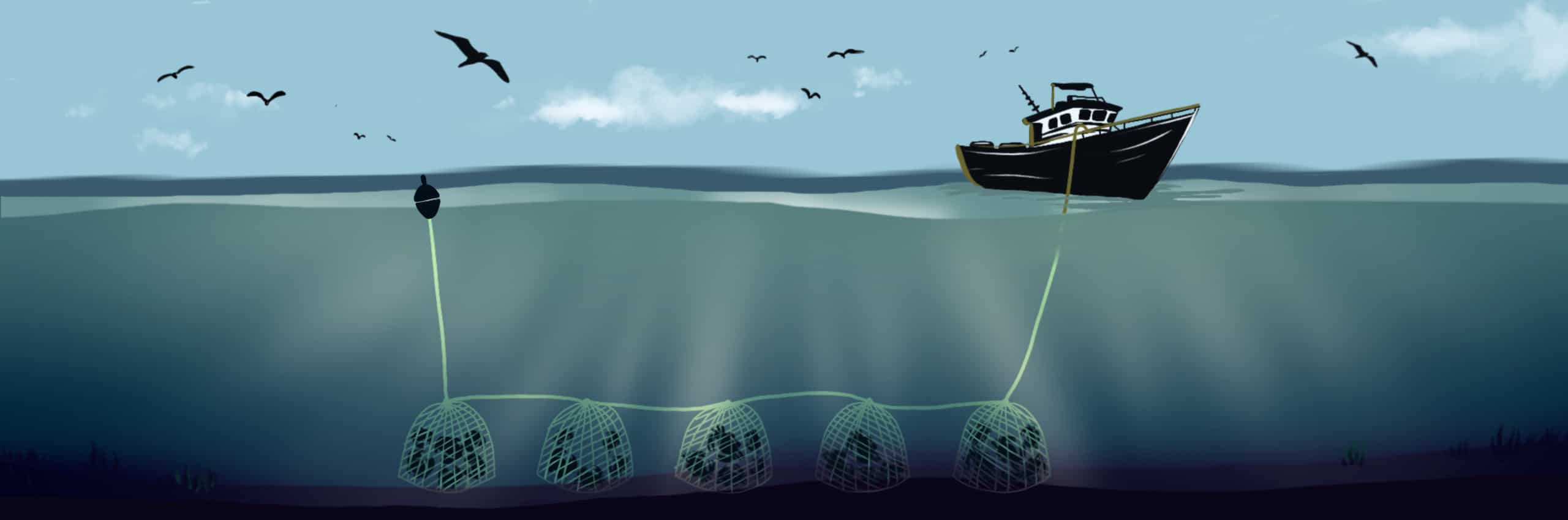 Fishing methods Pots and traps