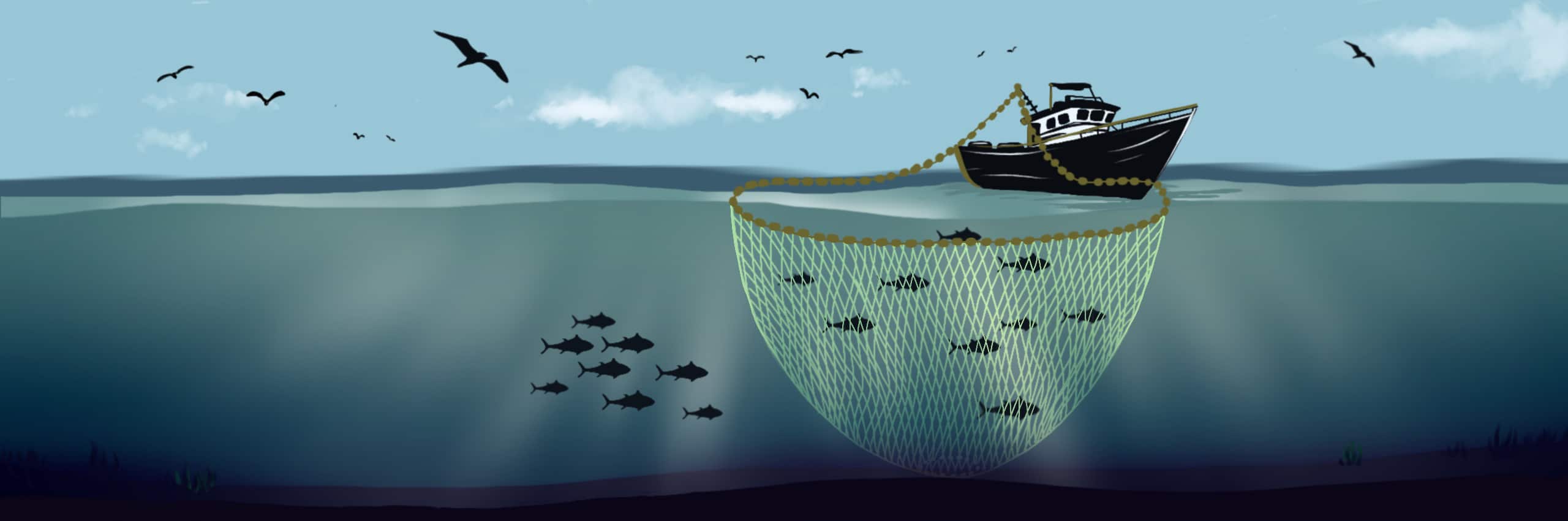 Purse seining