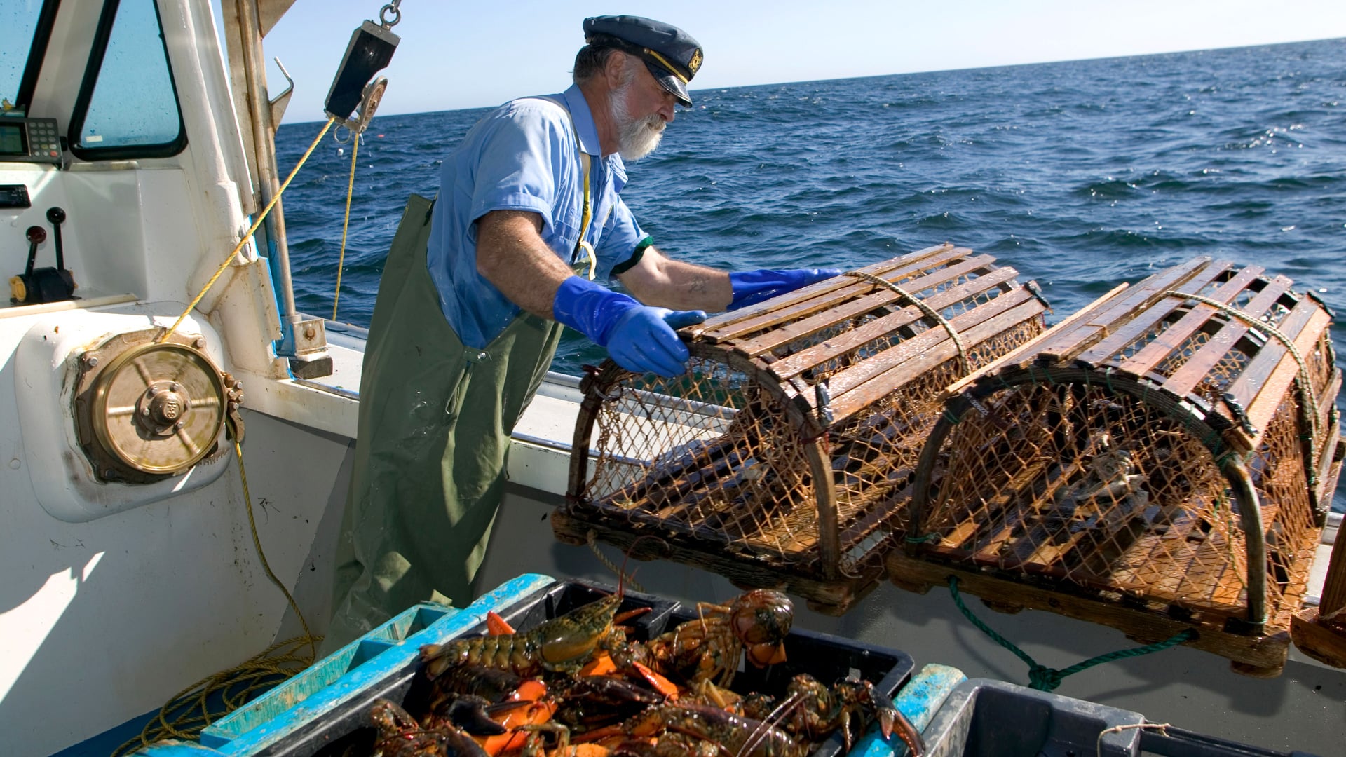 Fishing Methods
Hook and Line
Purse Seine
Gillnet
Flyshoot Trawling
Dredges
Pots and Traps