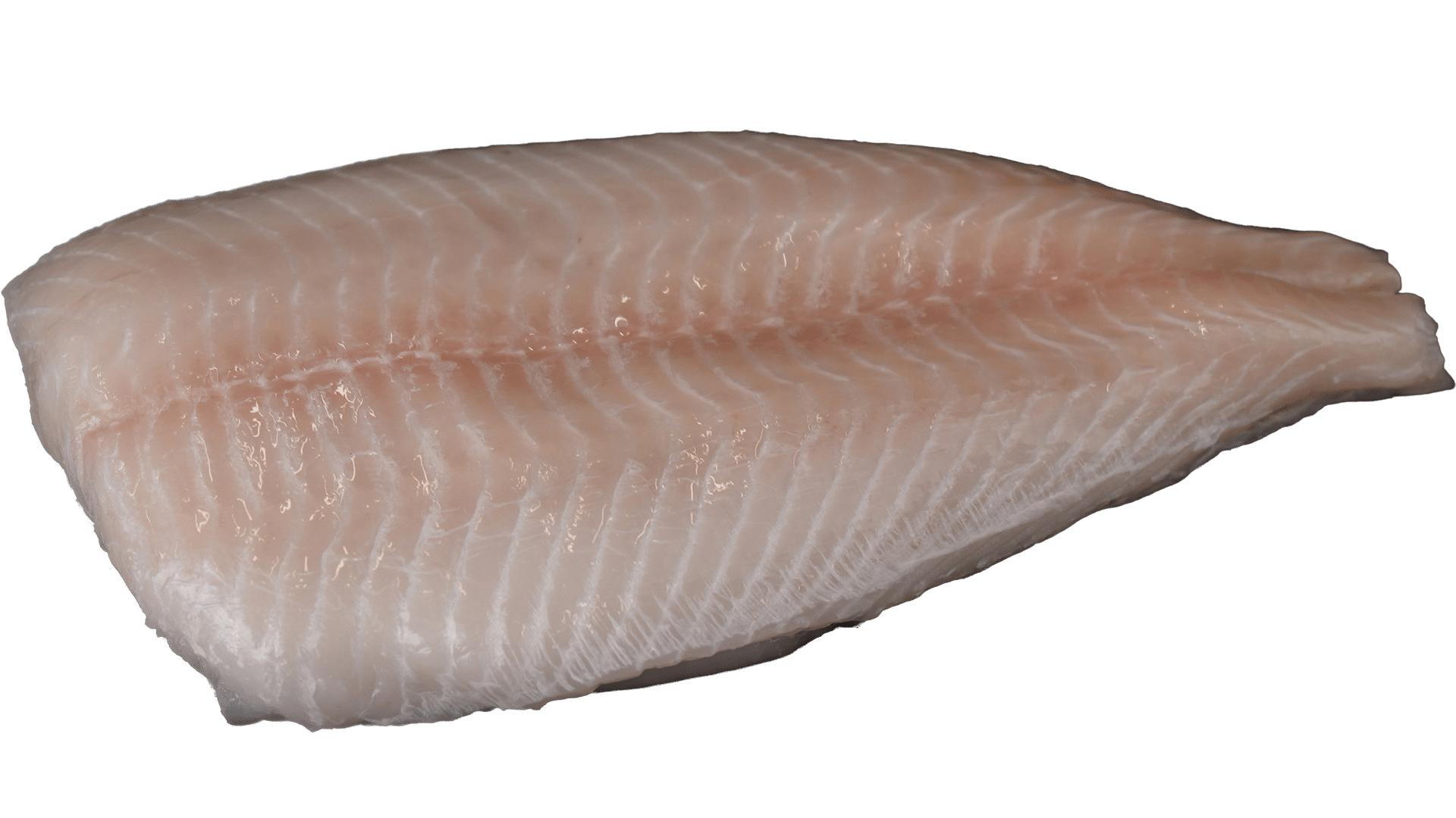 Fish Fillets