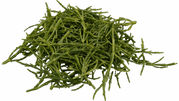 Seaweed