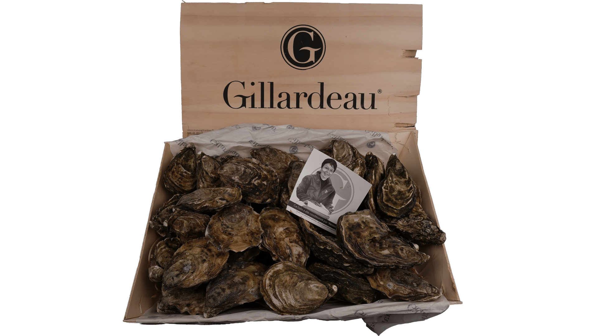 Oysters