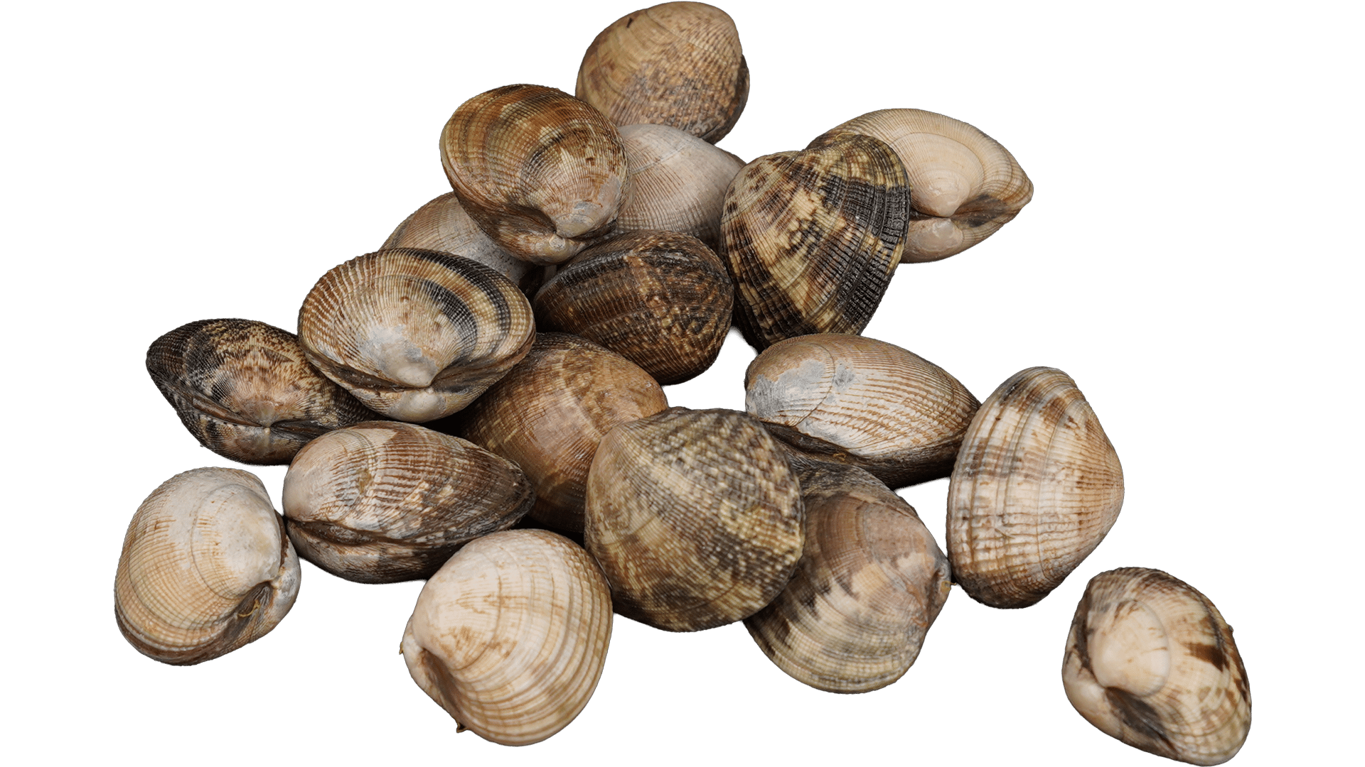 Shellfish & Other