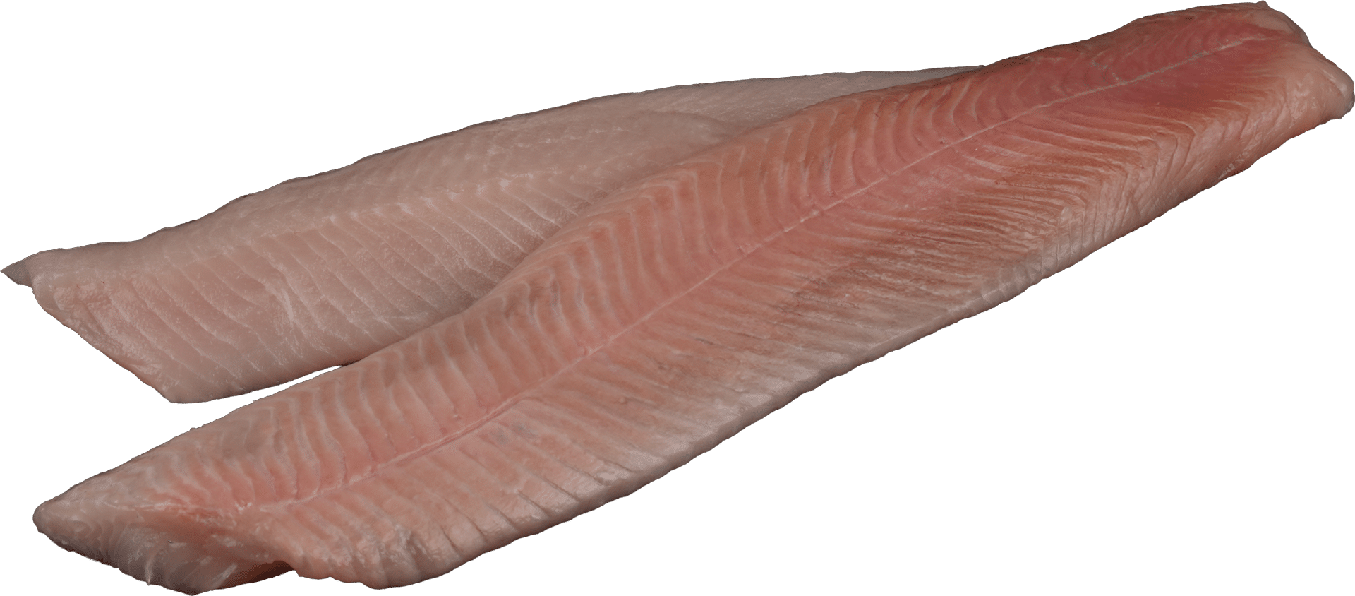 0682_Trout fillet-skinless