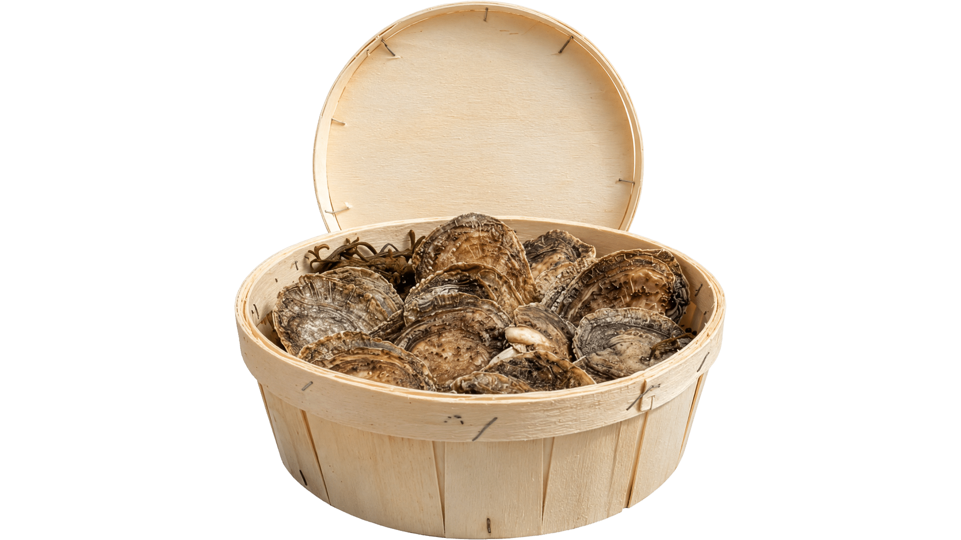 Dutch Belon oysters (flat)