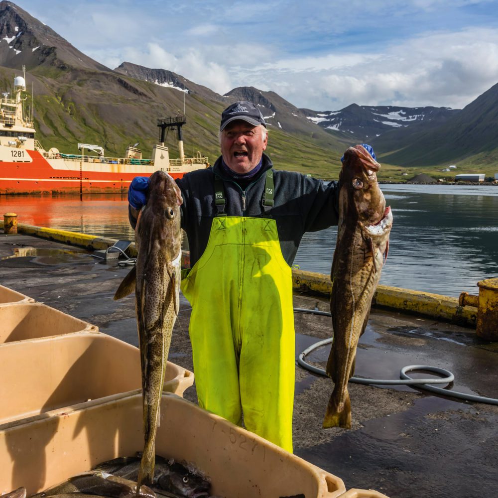 Island Fish_Featured Image_01